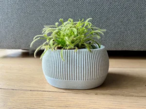 Self watering plant pot with water level indicator