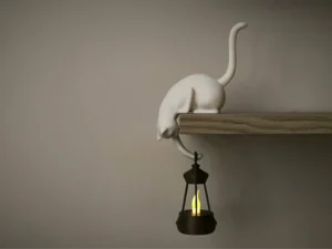 Cat Shelf Hook with Lantern - Decorative Organizer